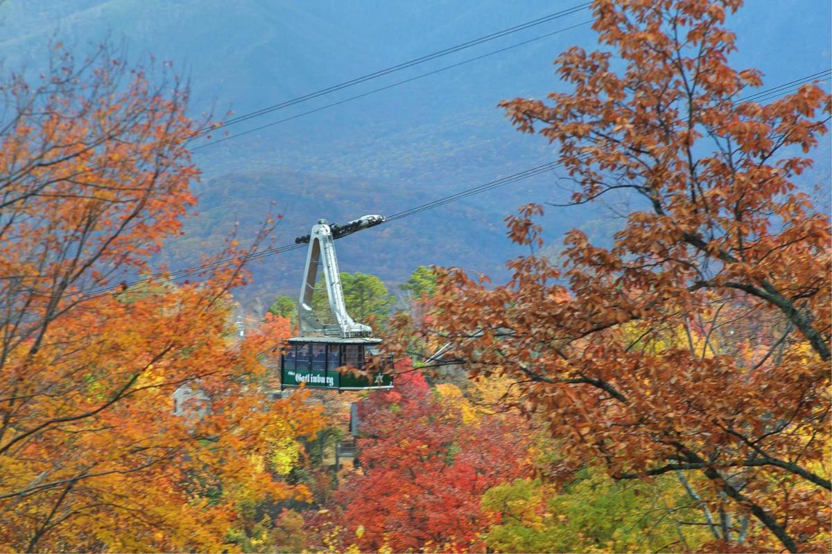 Moonshiner'S Legacy Holiday Home Gatlinburg Exteriör bild